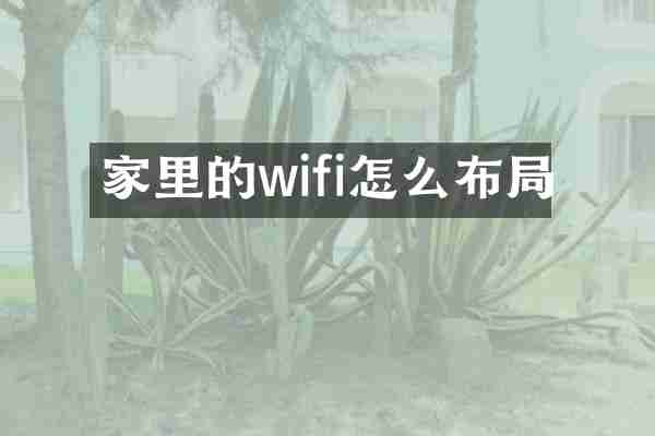 家里的wifi怎么布局