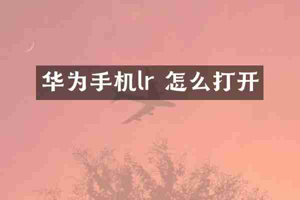 华为手机lr 怎么打开