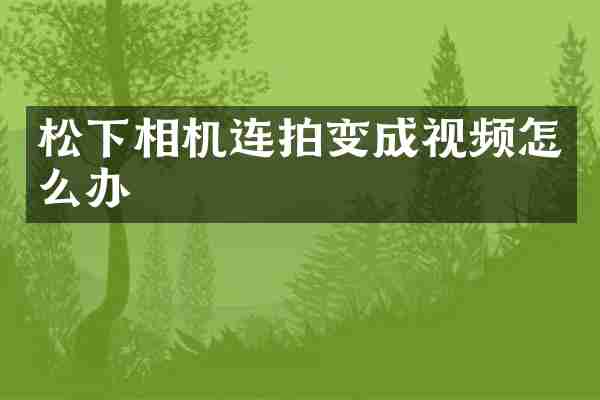 相机连拍变成视频怎么办