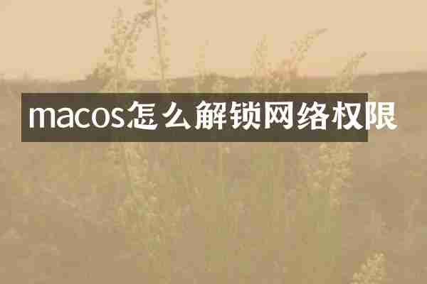 macos怎么解锁网络权限