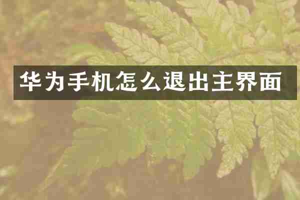 华为手机怎么退出主界面