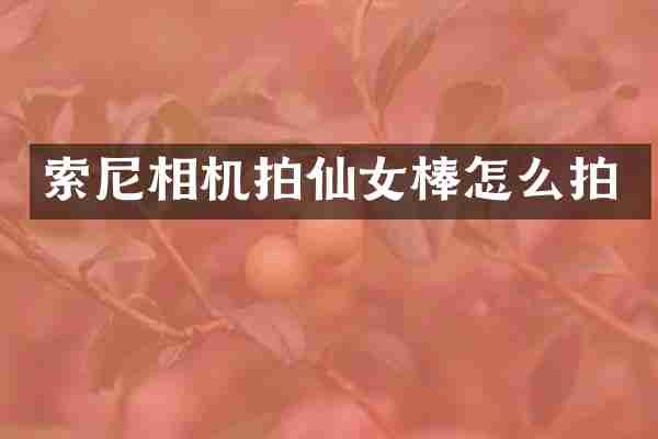 相机拍仙女棒怎么拍