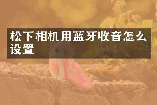 相机用蓝牙收音怎么设置