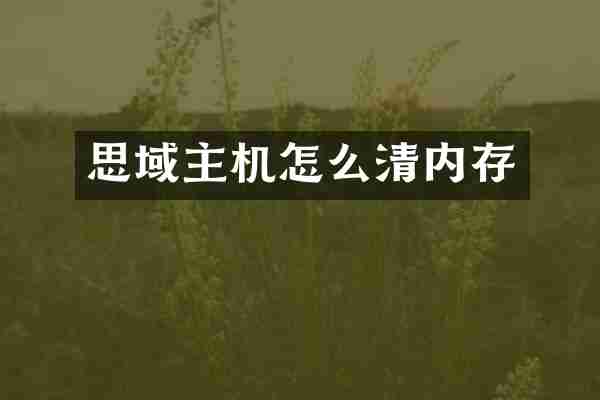 思域主机怎么清内存