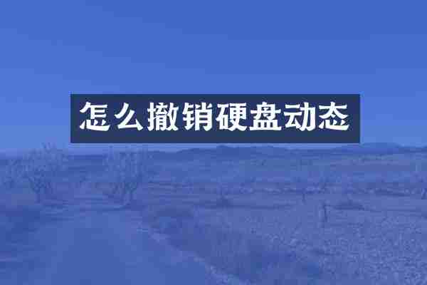 怎么撤销硬盘动态