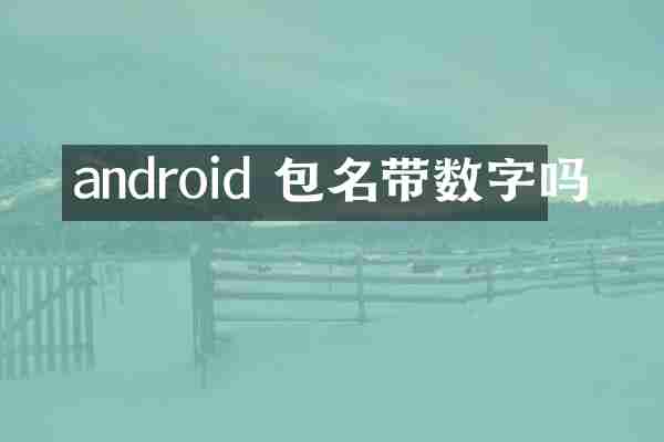 android 包名带数字吗