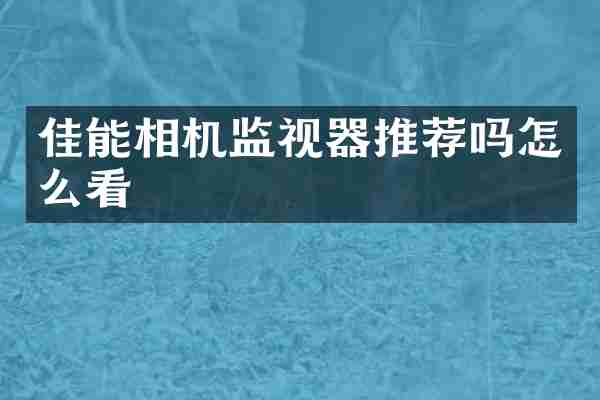 佳能相机监视器推荐吗怎么看