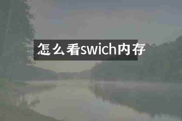 怎么看swich内存