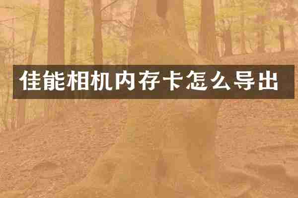 佳能相机内存卡怎么导出