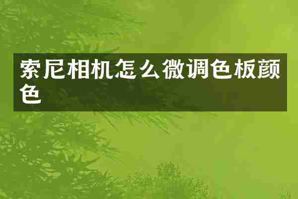 索尼相机怎么微调色板颜色