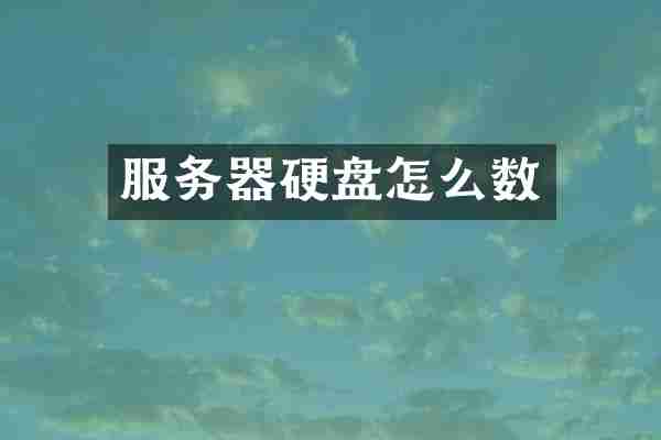 服务器硬盘怎么数