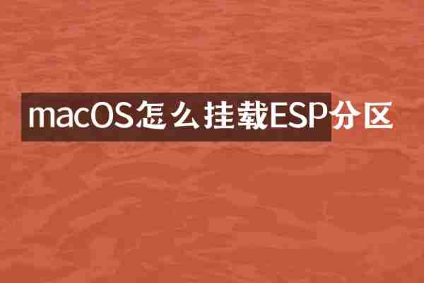 macOS怎么挂载ESP分区