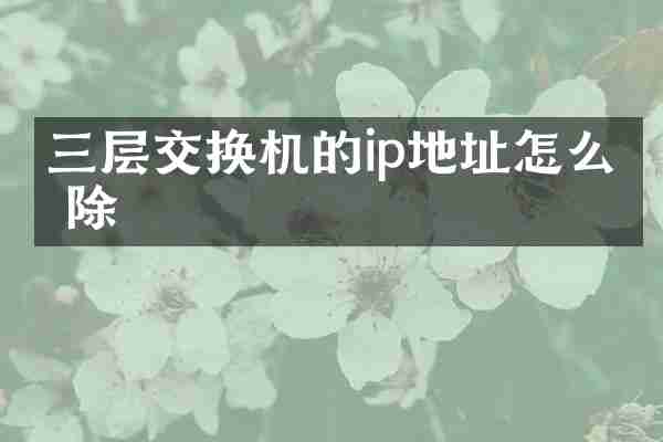 三层交换机的ip地址怎么删除