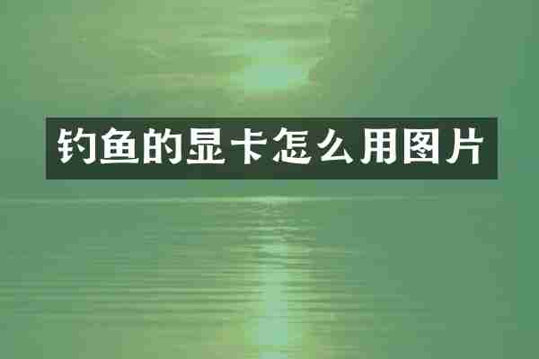 钓鱼的显卡怎么用图片