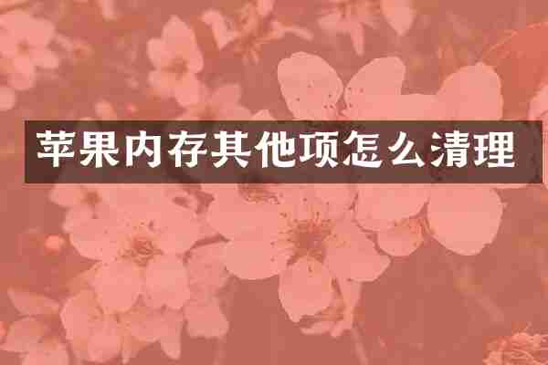 苹果内存其他项怎么清理