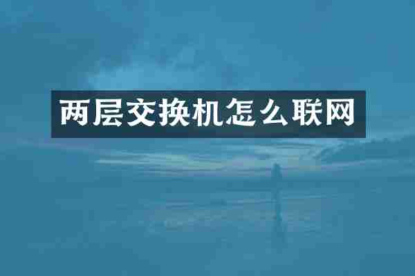 两层交换机怎么联网