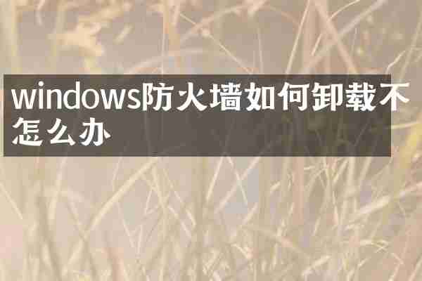 windows防火墙如何卸载不了怎么办