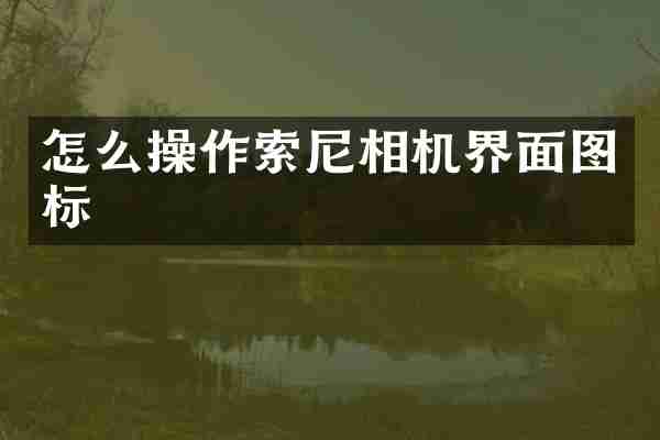 怎么操作相机界面图标