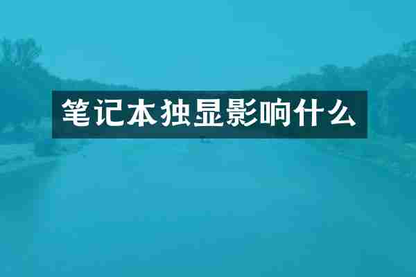 笔记本独显影响什么