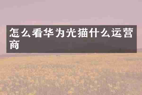 怎么看华为光猫什么运营商