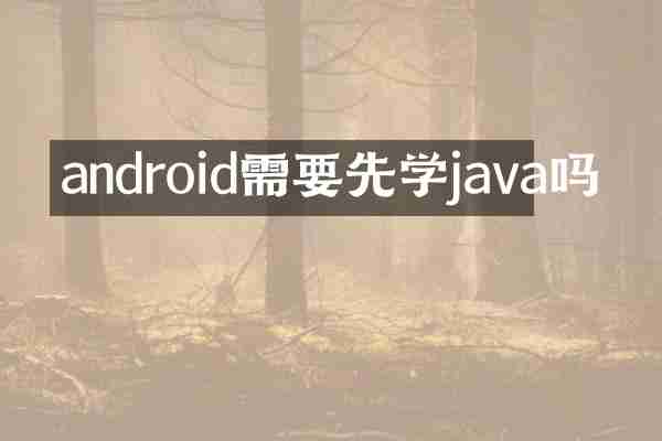 android需要先学java吗