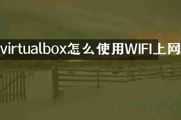 virtualbox怎么使用WIFI上网