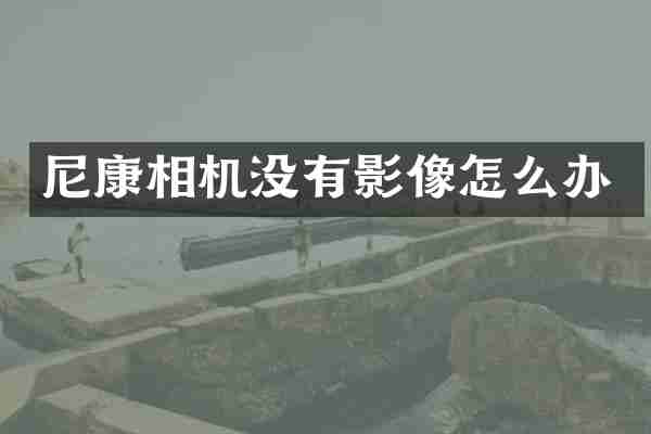 尼康相机没有影像怎么办