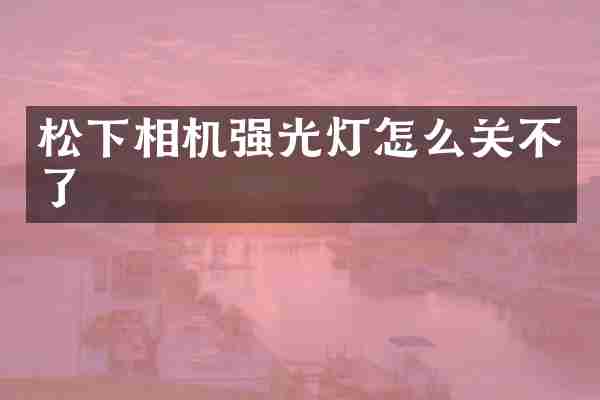 相机强光灯怎么关不了