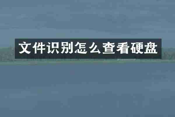 文件识别怎么查看硬盘