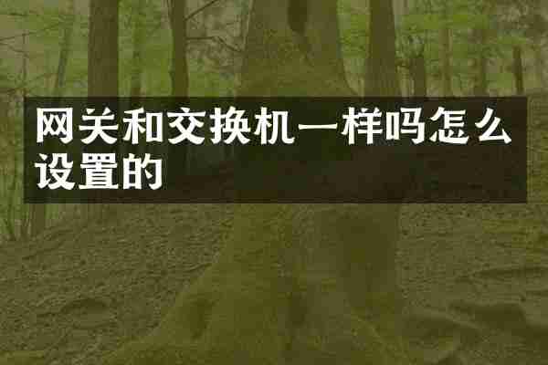 网关和交换机一样吗怎么设置的