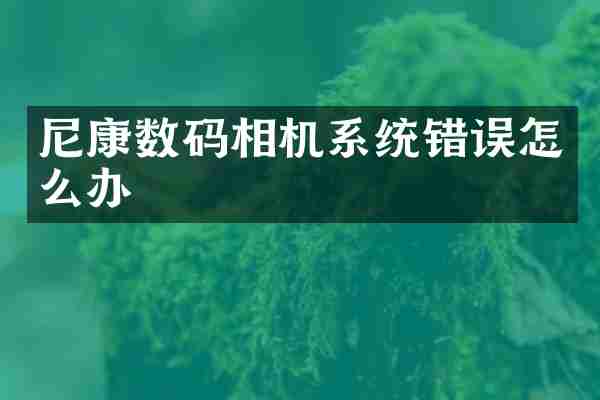 尼康数码相机系统错误怎么办