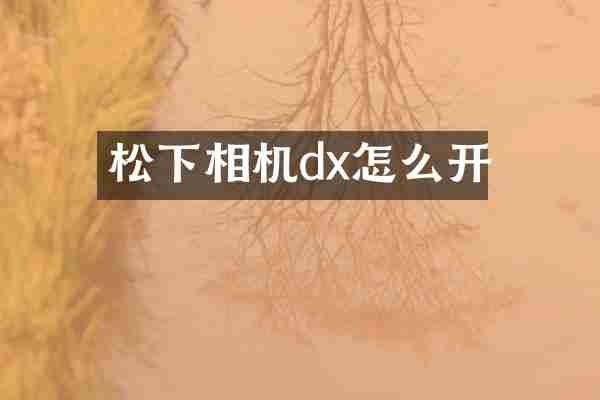 相机dx怎么开
