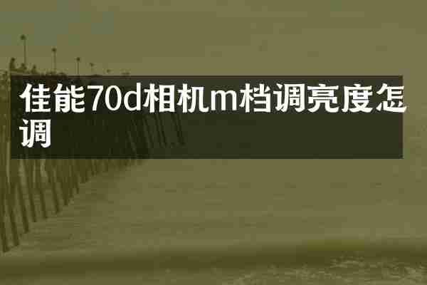 佳能70d相机m档调亮度怎么调