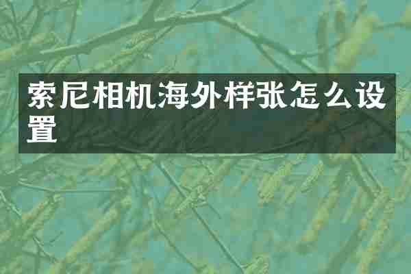 相机海外样张怎么设置