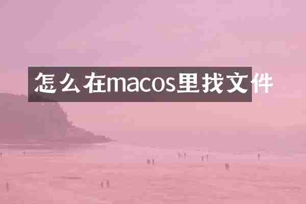 怎么在macos里找文件
