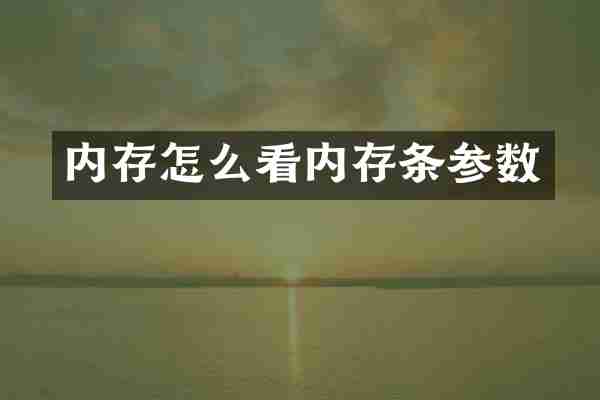 内存怎么看内存条参数