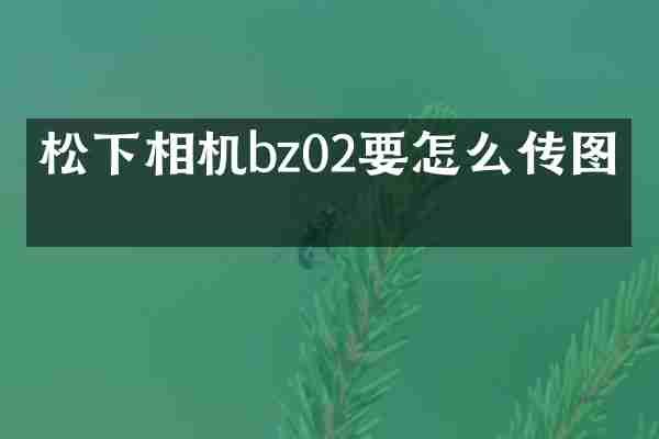 松下相机bz02要怎么传图片