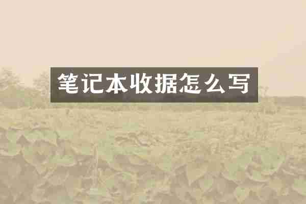 笔记本收据怎么写