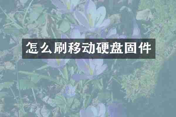 怎么刷移动硬盘固件