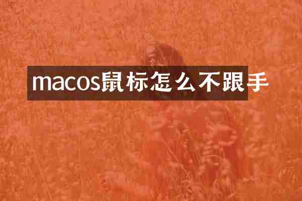 macos鼠标怎么不跟手