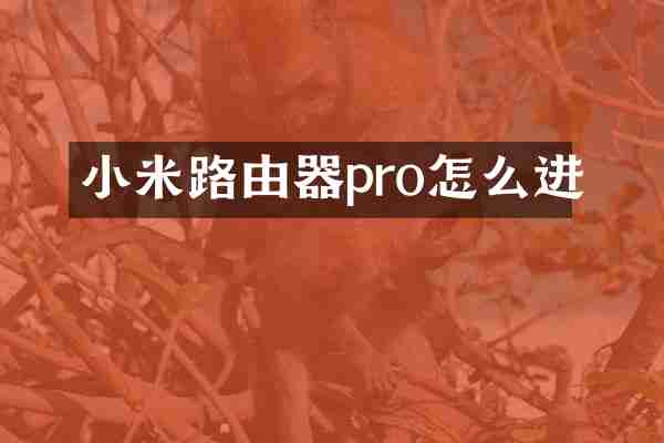 小米路由器pro怎么进