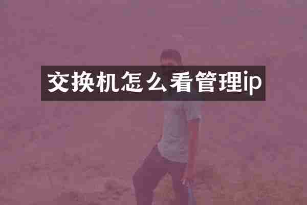 交换机怎么看管理ip