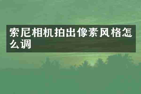 索尼相机拍出像素风格怎么调