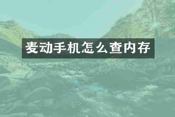 麦动手机怎么查内存