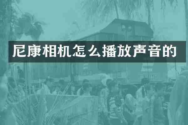 尼康相机怎么播放声音的