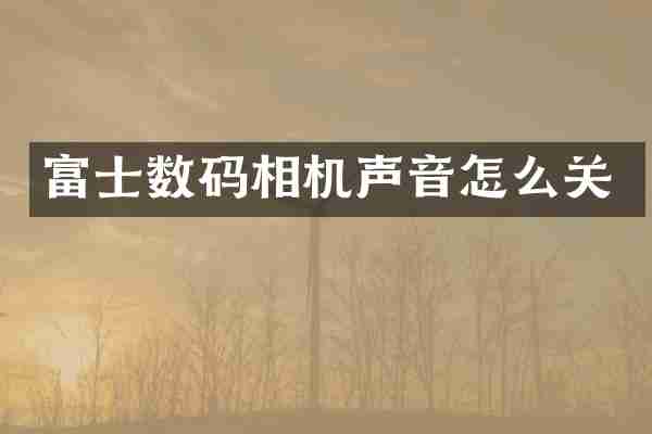 富士数码相机声音怎么关