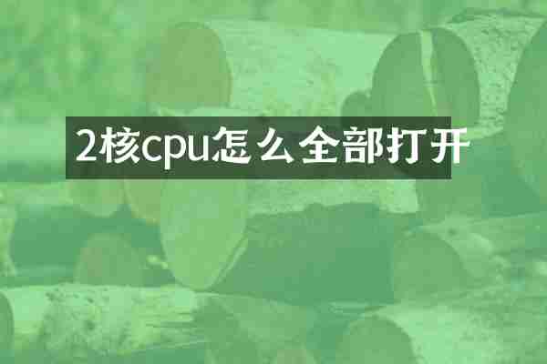 2核cpu怎么全部打开