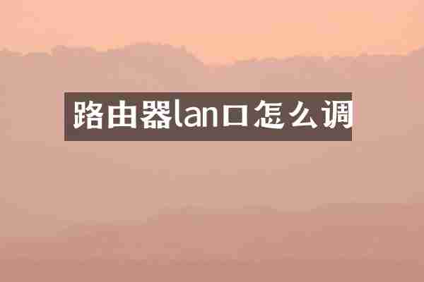 路由器lan口怎么调