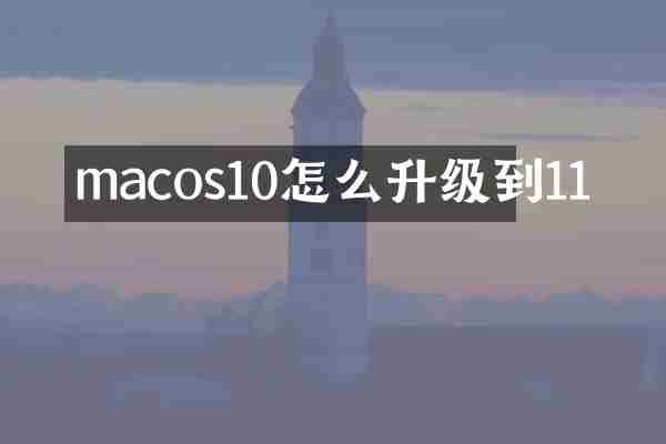 macos10怎么升级到11