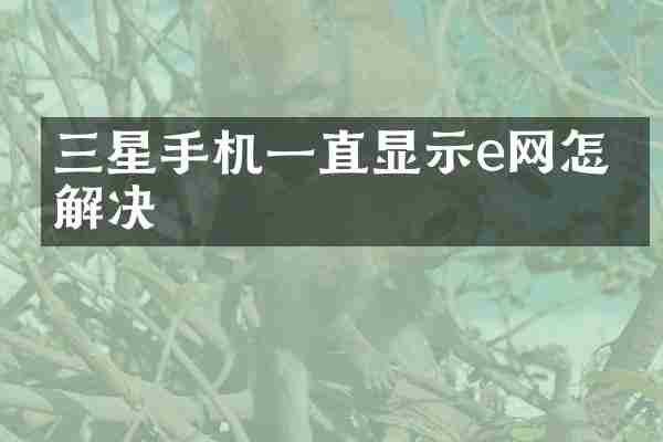 三星手机一直显示e网怎么解决